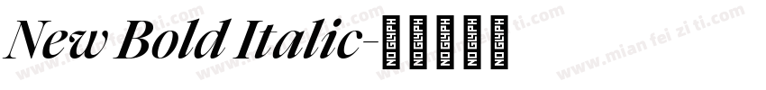 New Bold Italic字体转换